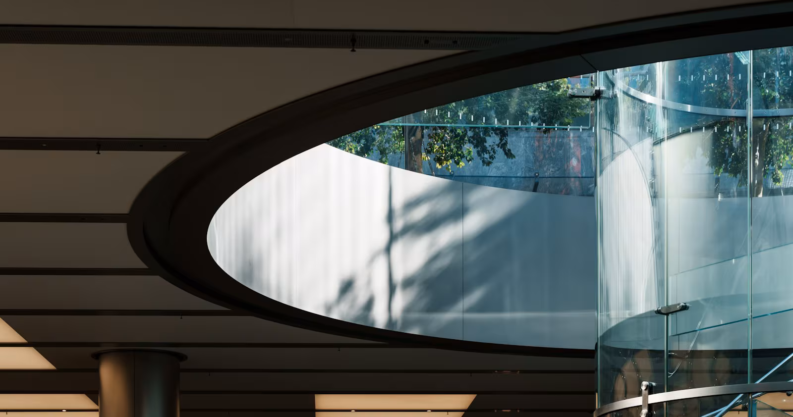 Spiral staircase with a curved glass balustrade in natural light