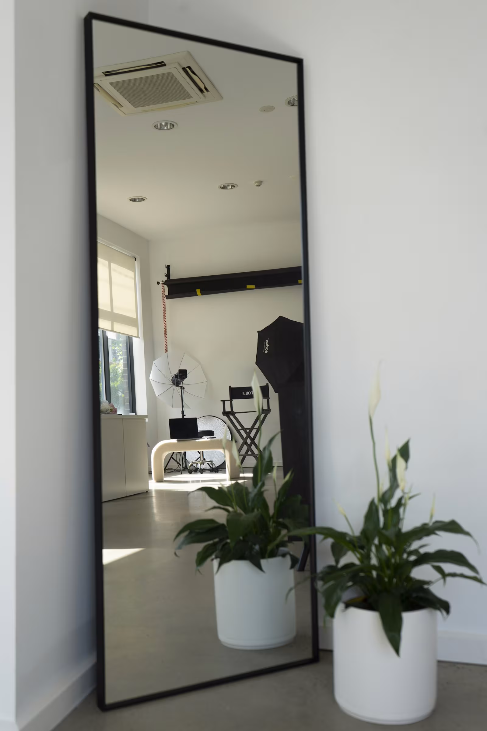 Large floor-standing mirror beside a potted plant